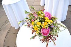 SPRING HAS SPRUNG BAT MITZVAH